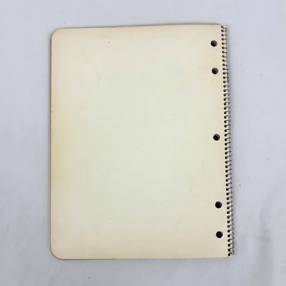 Vintage 1970s Westab Mead Love Notes Spiral Notebook Lot Color Filled Paper Rare